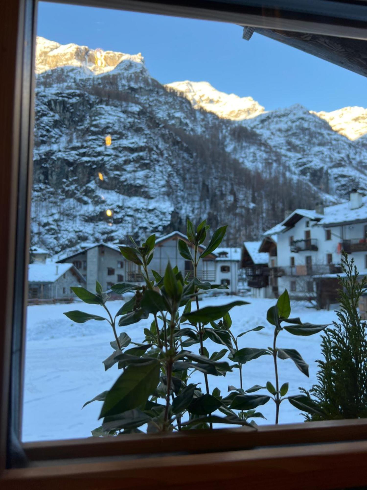 Hotel Wongade Gressoney-la-Trinité Esterno foto