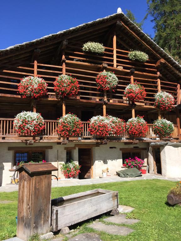 Hotel Wongade Gressoney-la-Trinité Esterno foto