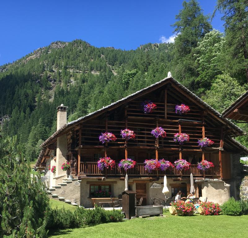 Hotel Wongade Gressoney-la-Trinité Esterno foto